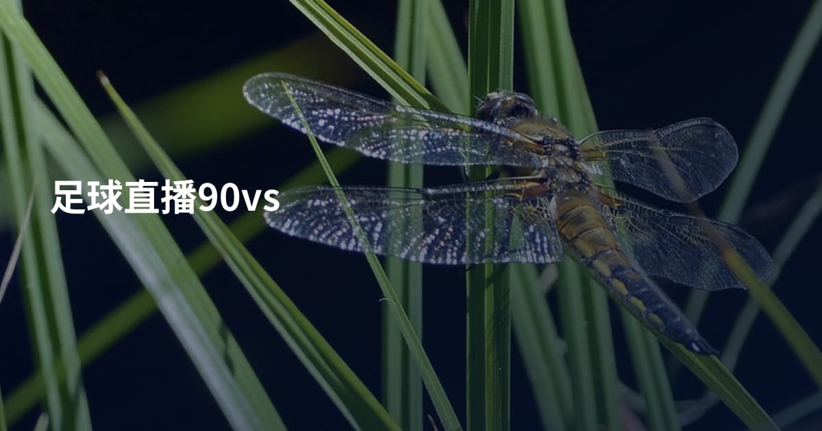 足球直播90vs