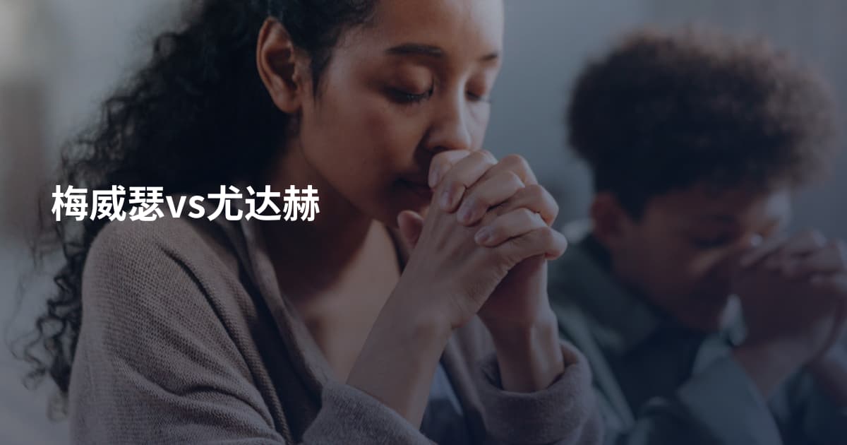 梅威瑟vs尤达赫