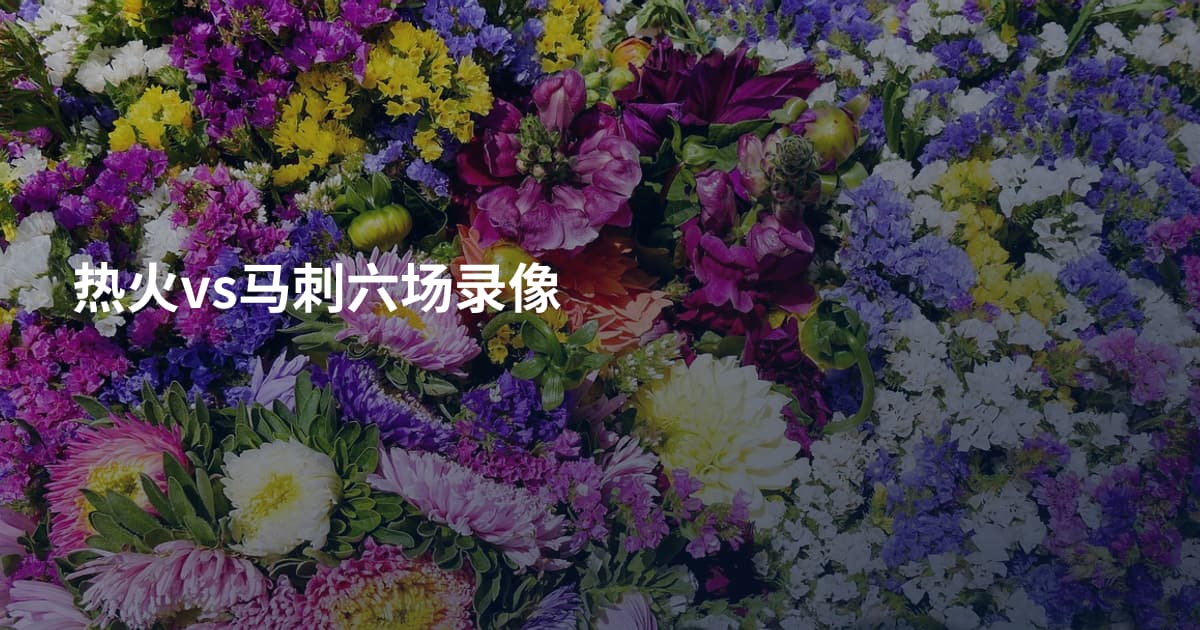 热火vs马刺六场录像