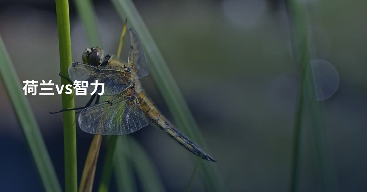 荷兰vs智力