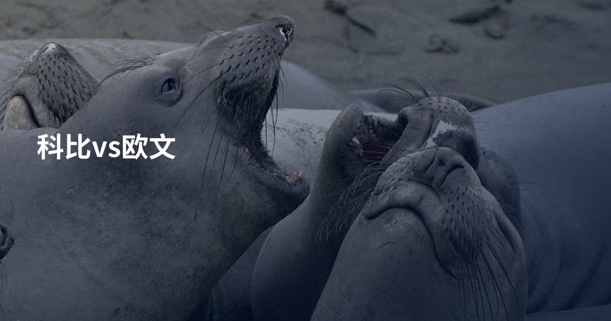 科比vs欧文