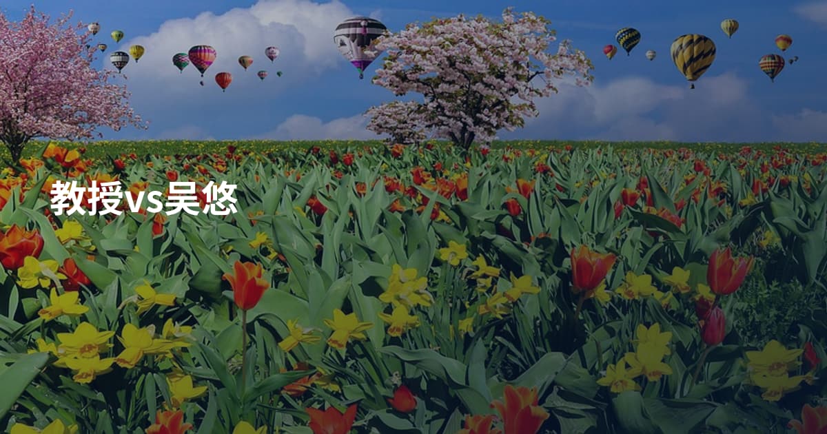 教授vs吴悠