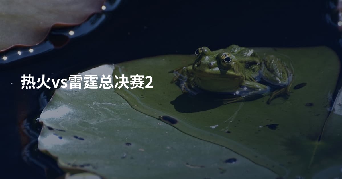 热火vs雷霆总决赛2