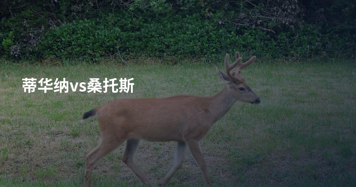蒂华纳vs桑托斯