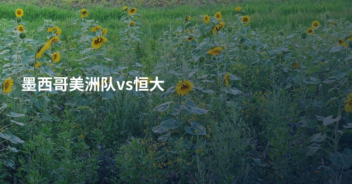 墨西哥美洲队vs恒大