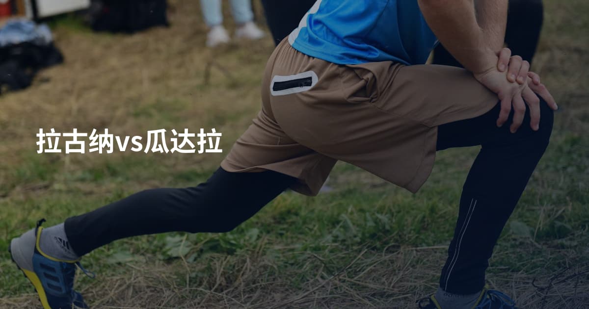 拉古纳vs瓜达拉