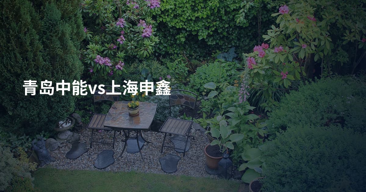 青岛中能vs上海申鑫