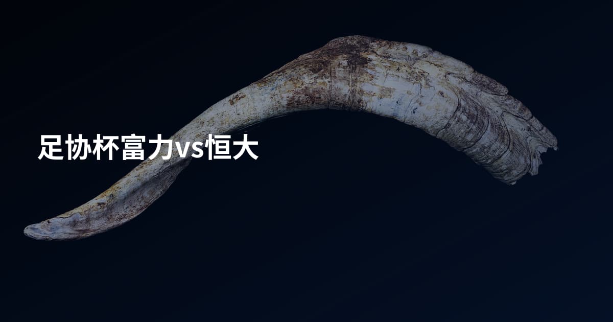 足协杯富力vs恒大