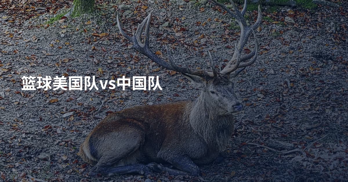 篮球美国队vs中国队