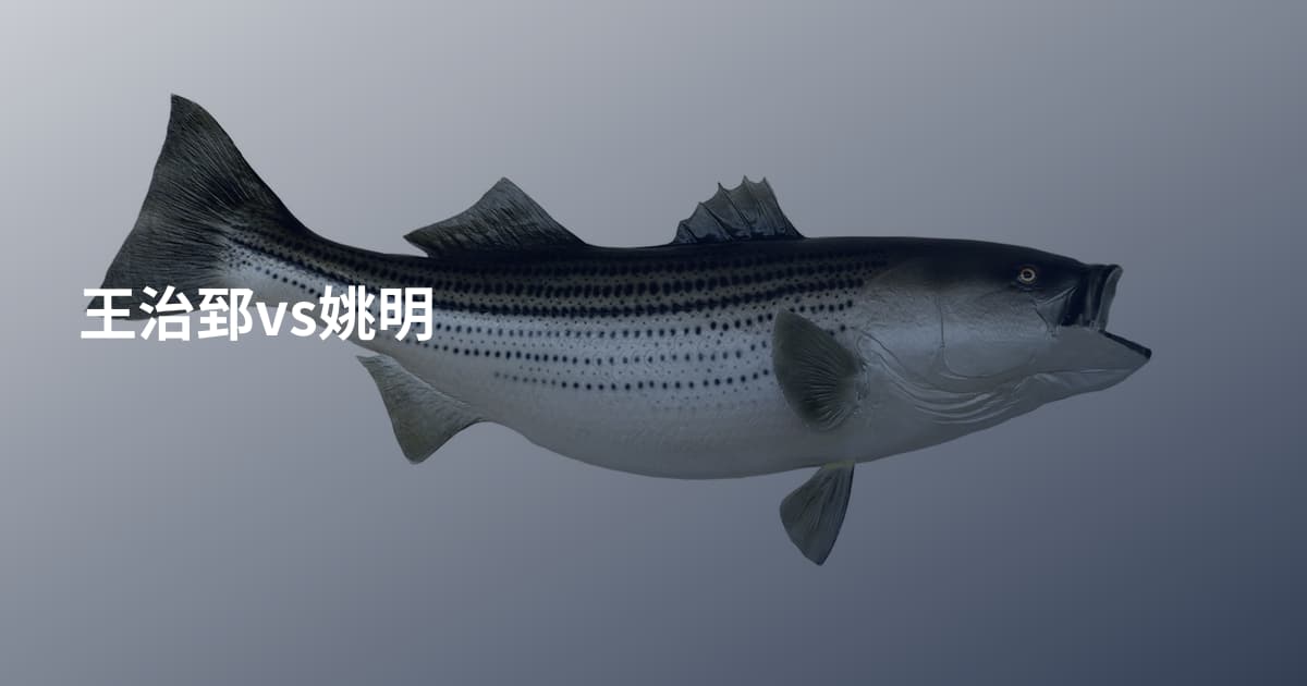 王治郅vs姚明