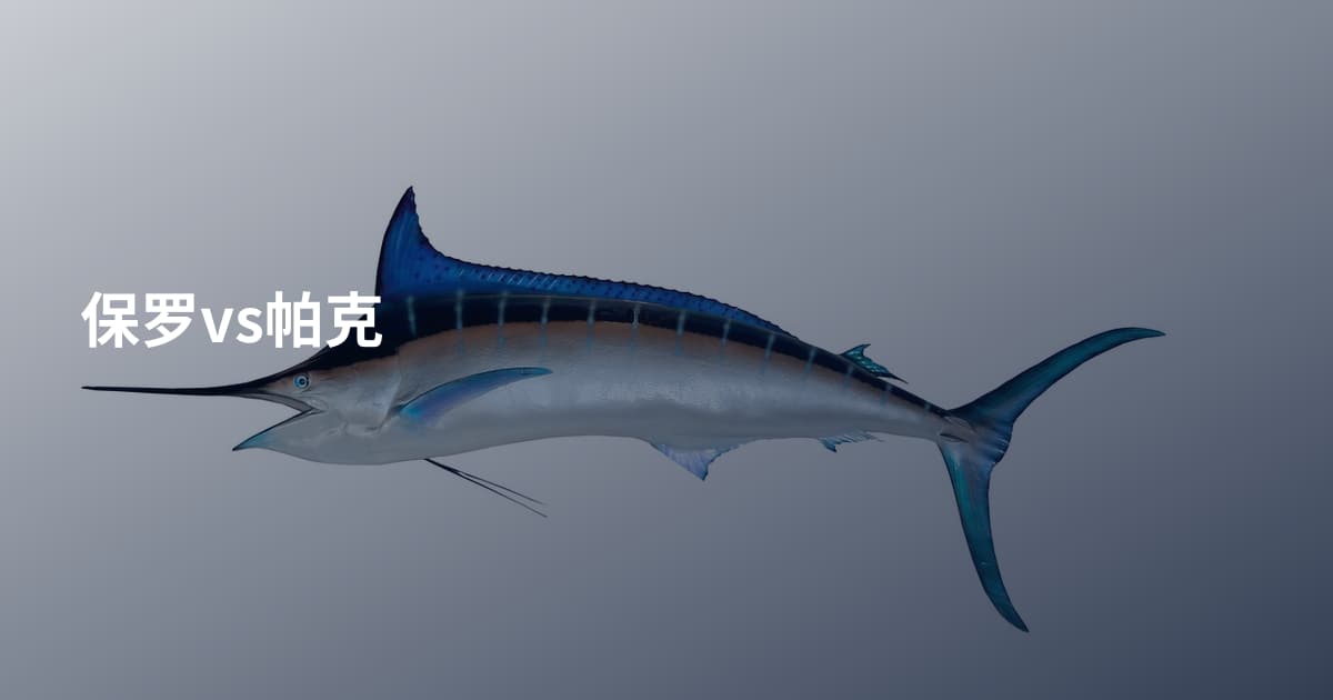 保罗vs帕克