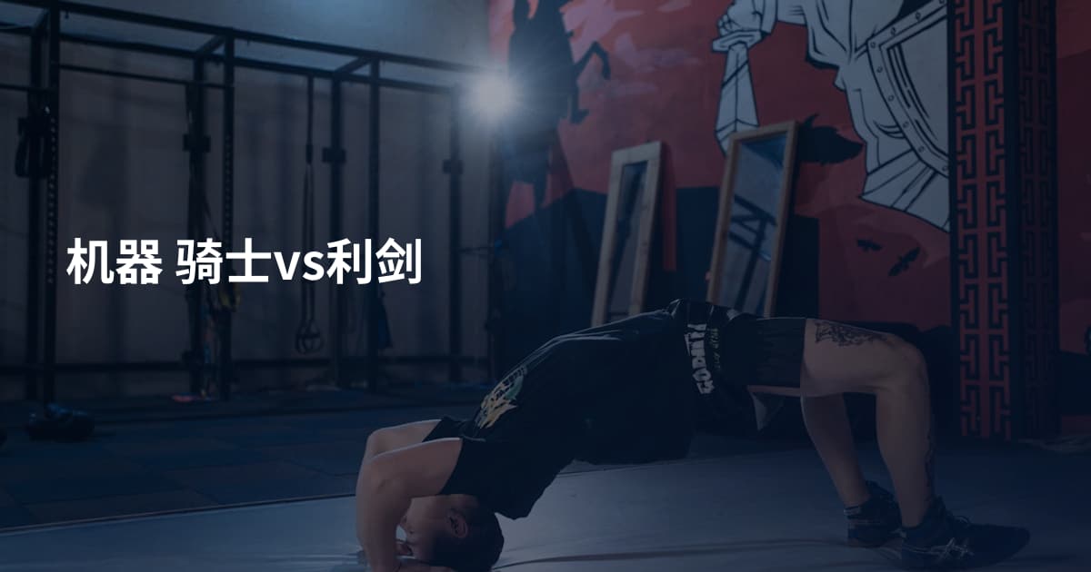机器 骑士vs利剑