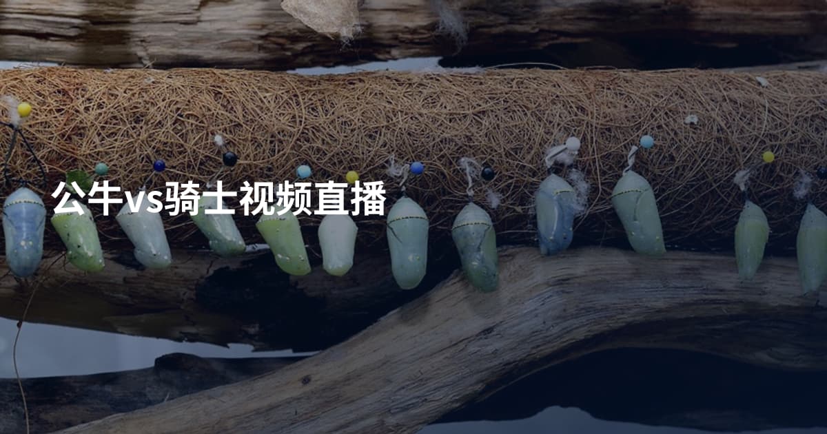 公牛vs骑士视频直播
