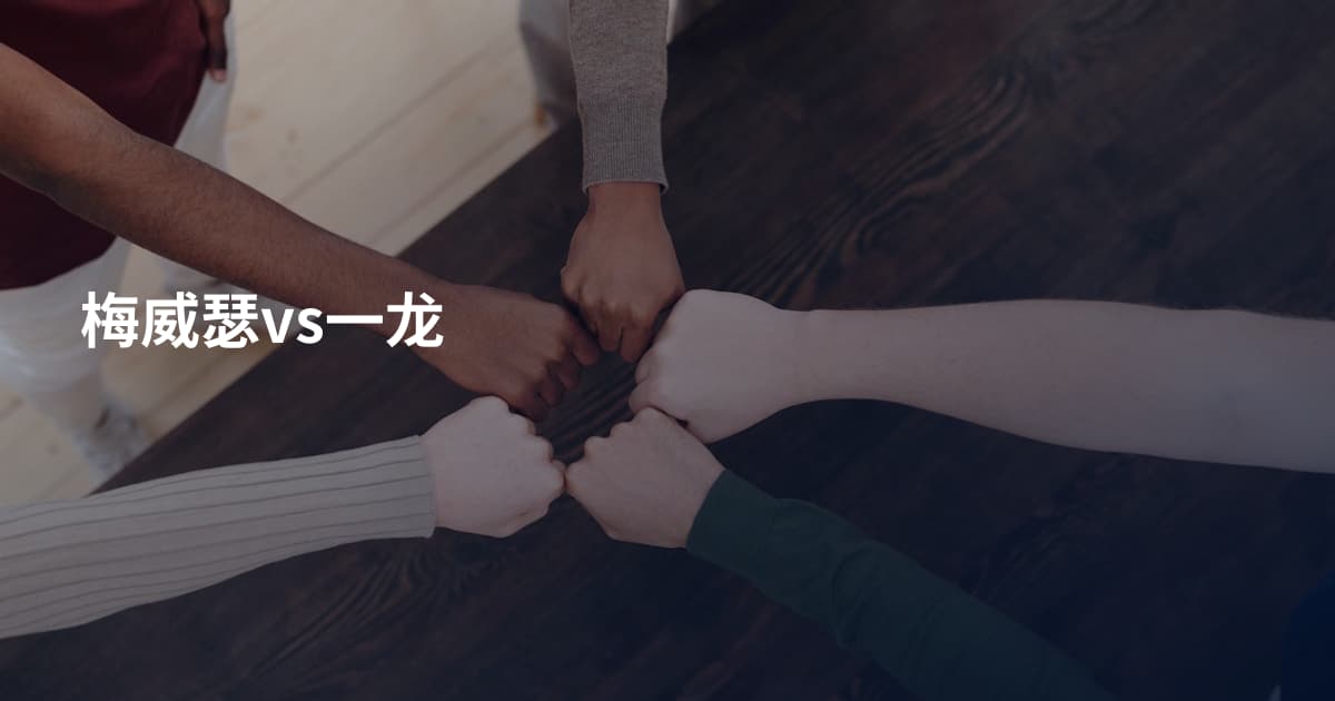 梅威瑟vs一龙