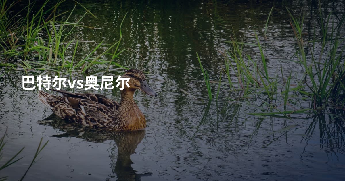 巴特尔vs奥尼尔