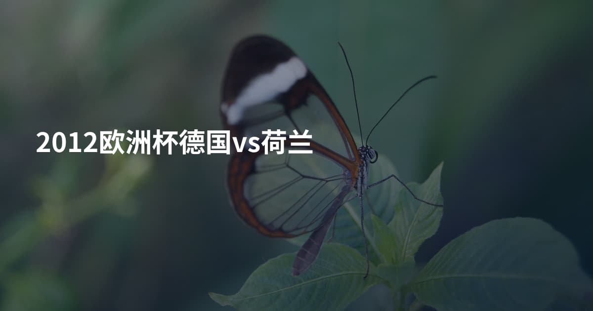 2012欧洲杯德国vs荷兰