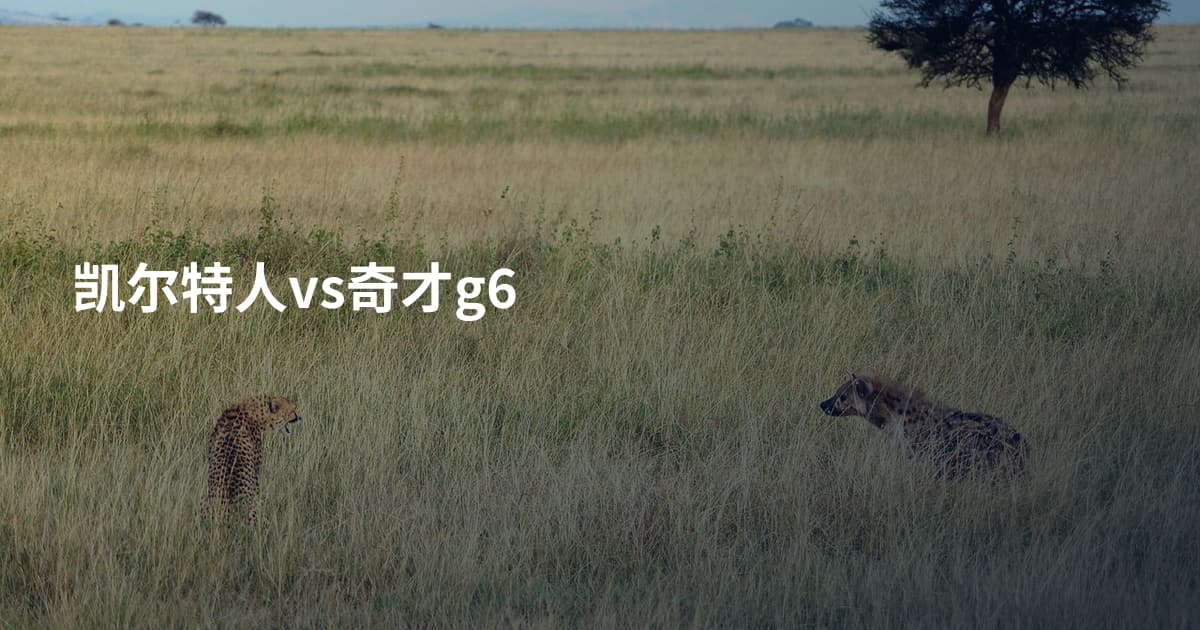 凯尔特人vs奇才g6