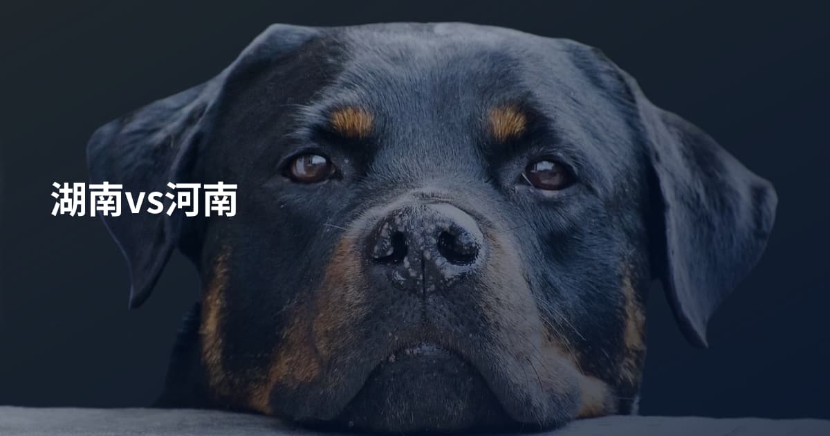 湖南vs河南