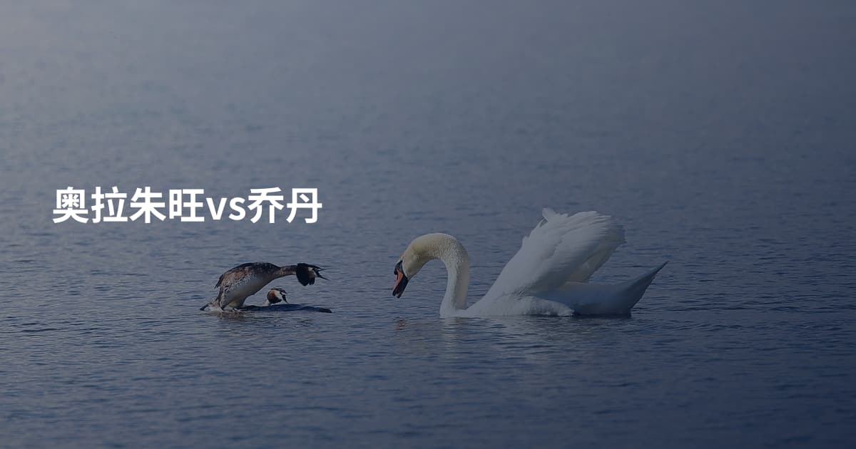 奥拉朱旺vs乔丹