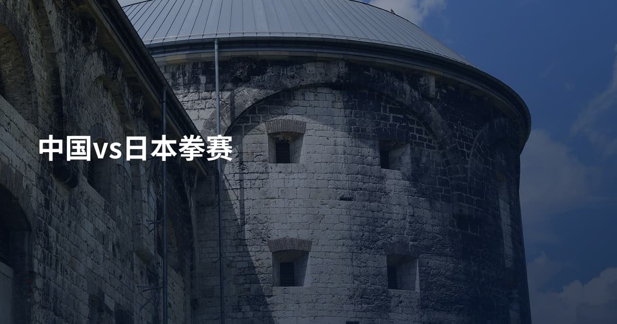 中国vs日本拳赛