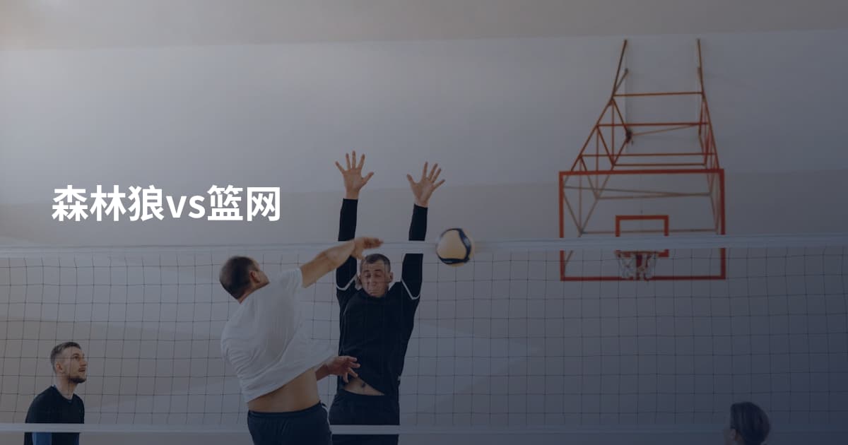森林狼vs篮网