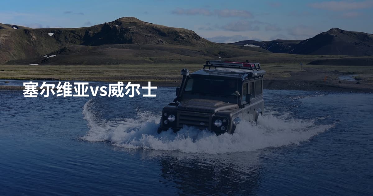 塞尔维亚vs威尔士