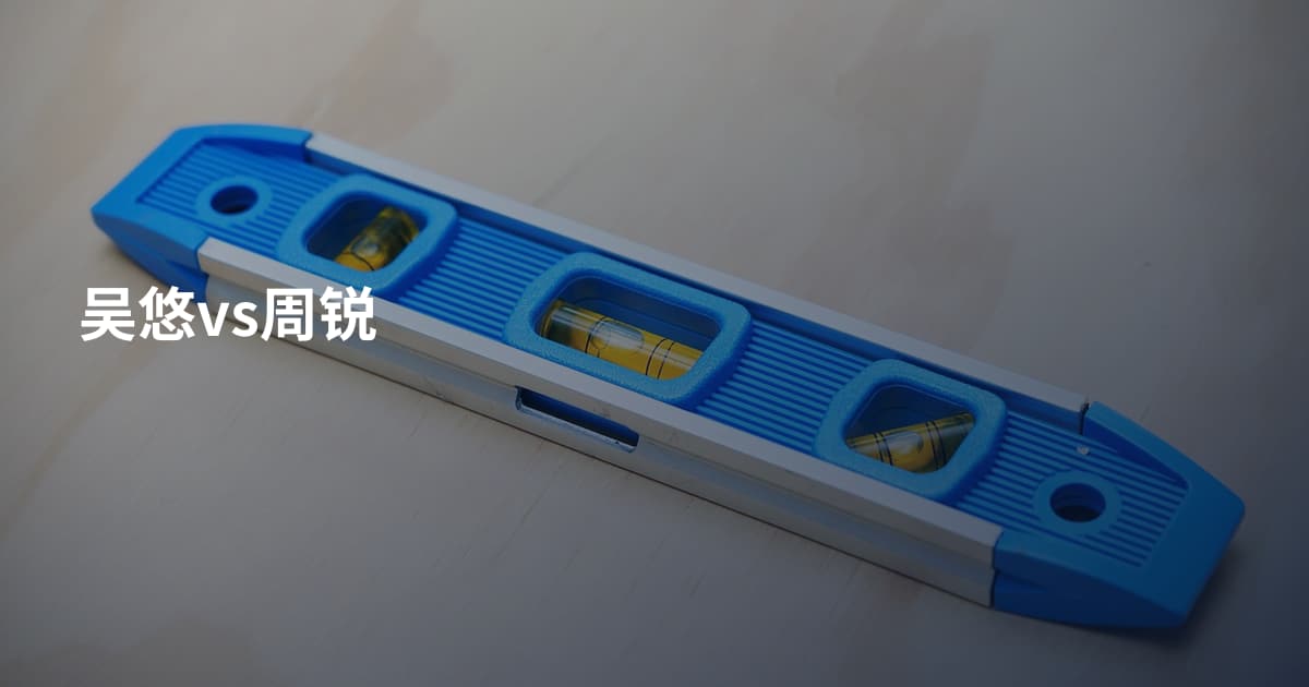 吴悠vs周锐
