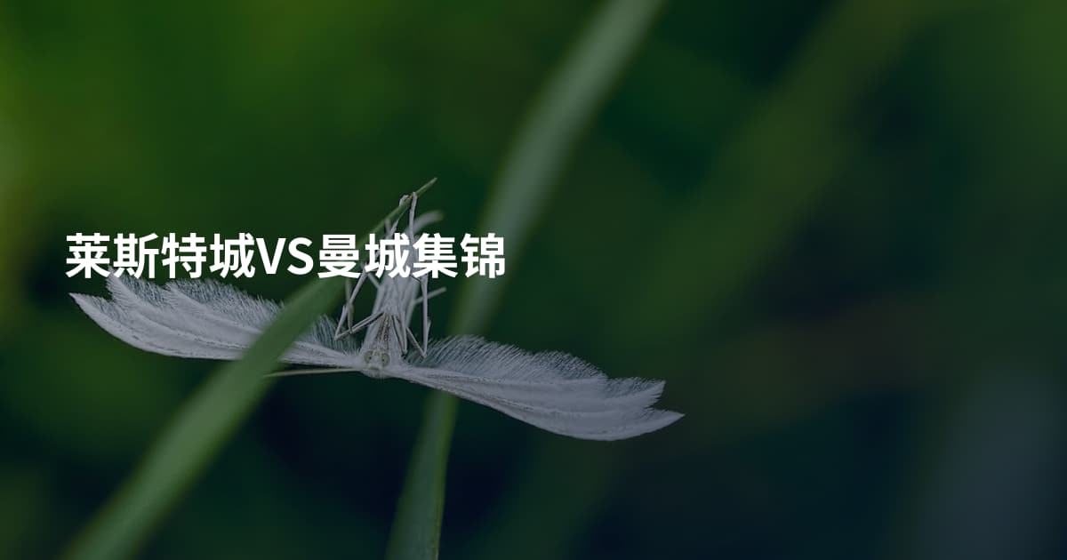 莱斯特城VS曼城集锦