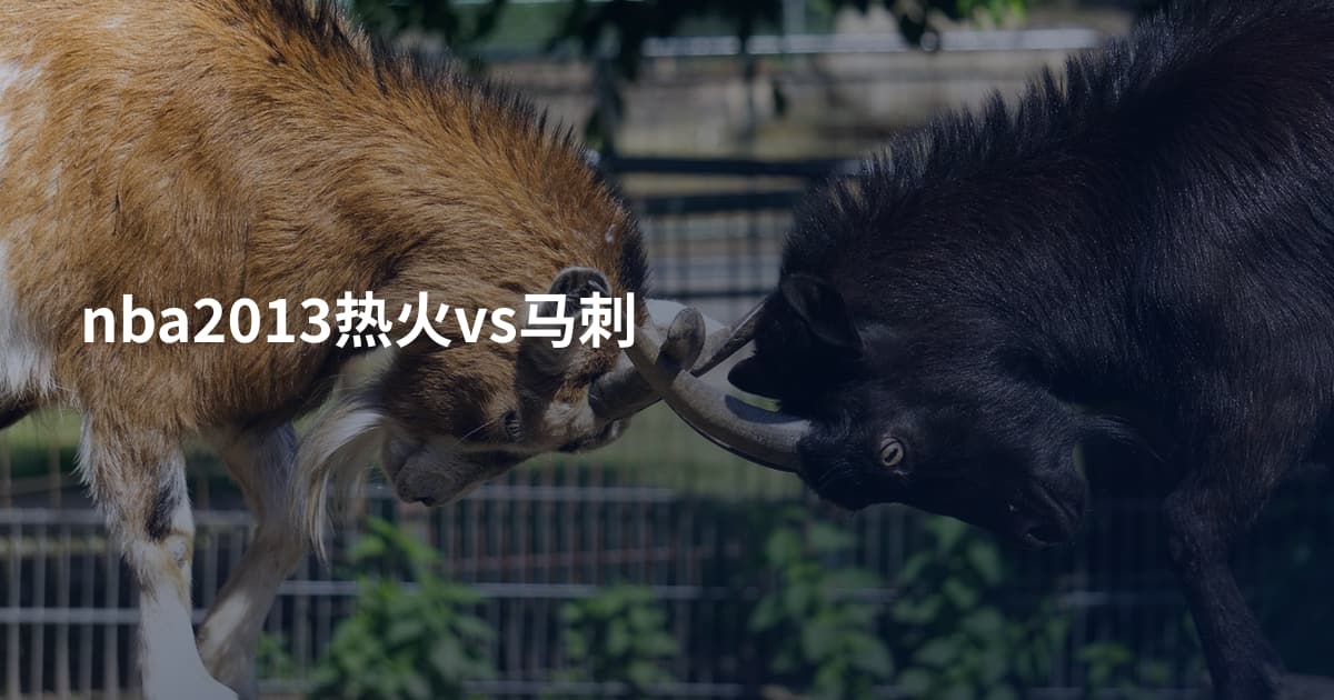 nba2013热火vs马刺