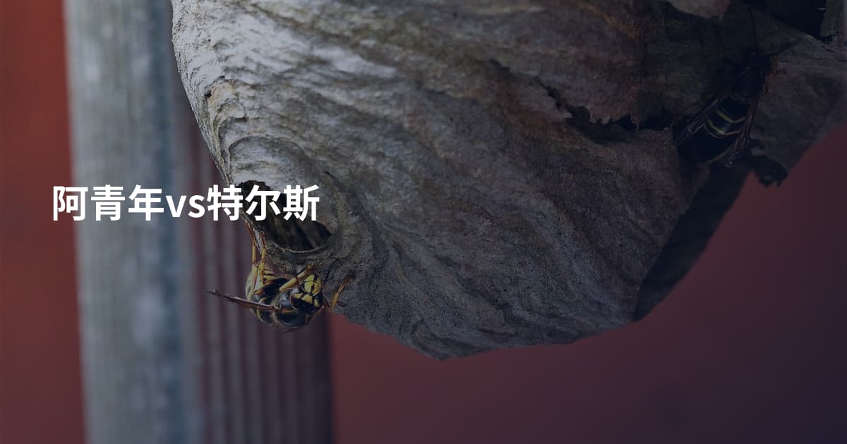 阿青年vs特尔斯
