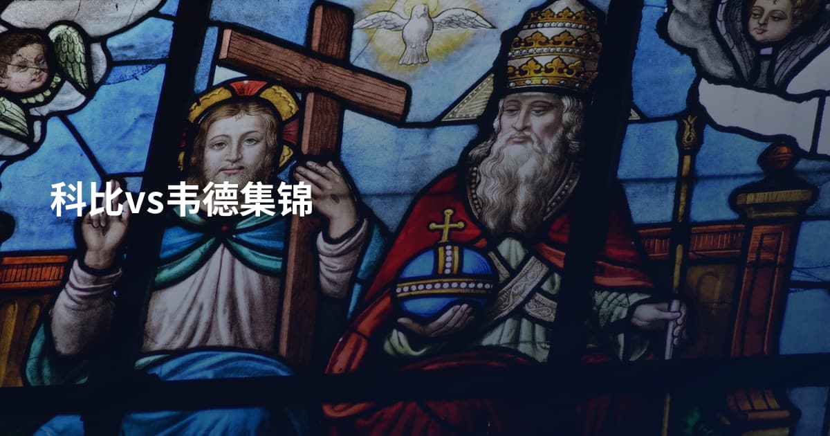 科比vs韦德集锦