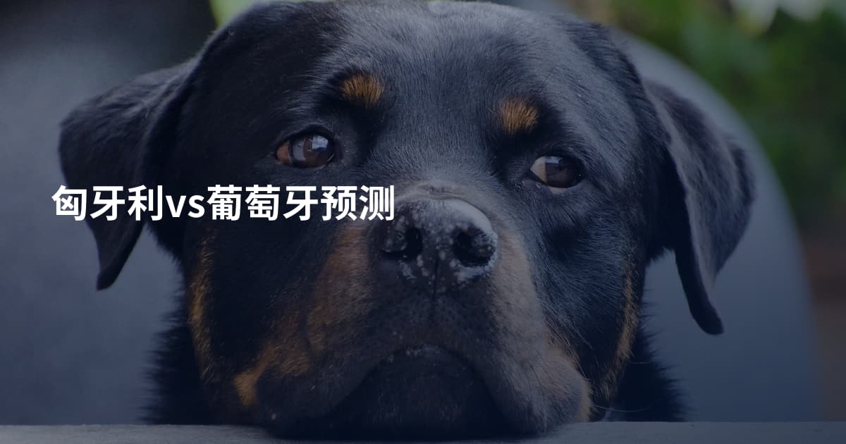 匈牙利vs葡萄牙预测
