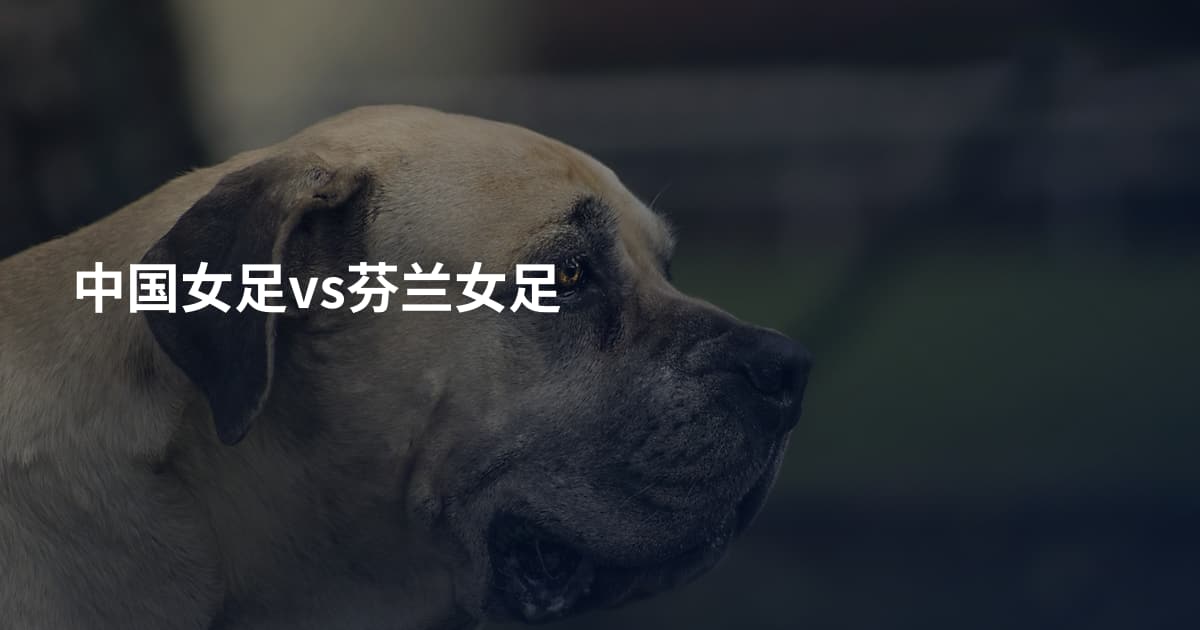中国女足vs芬兰女足