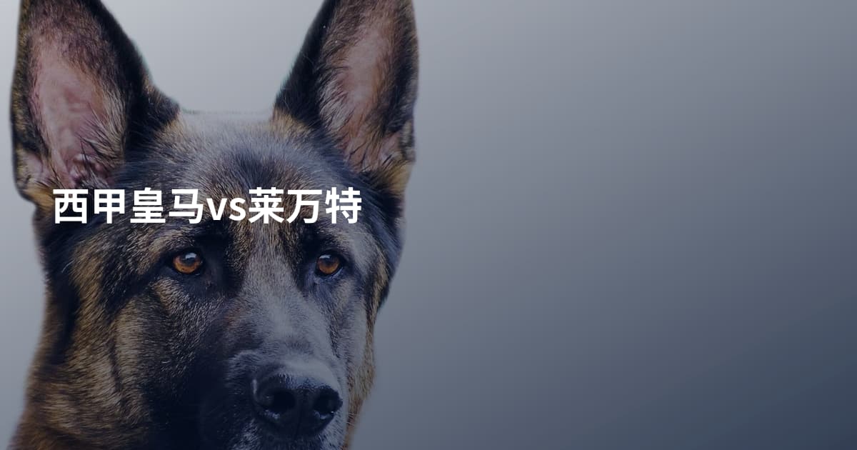 西甲皇马vs莱万特