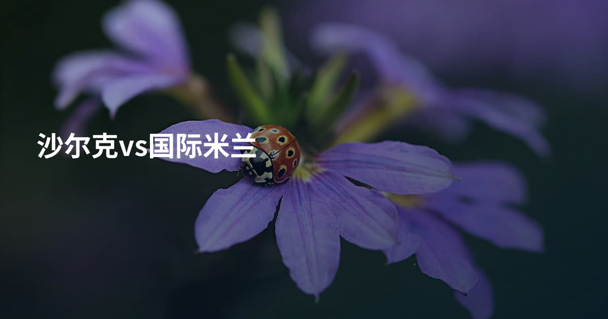 沙尔克vs国际米兰