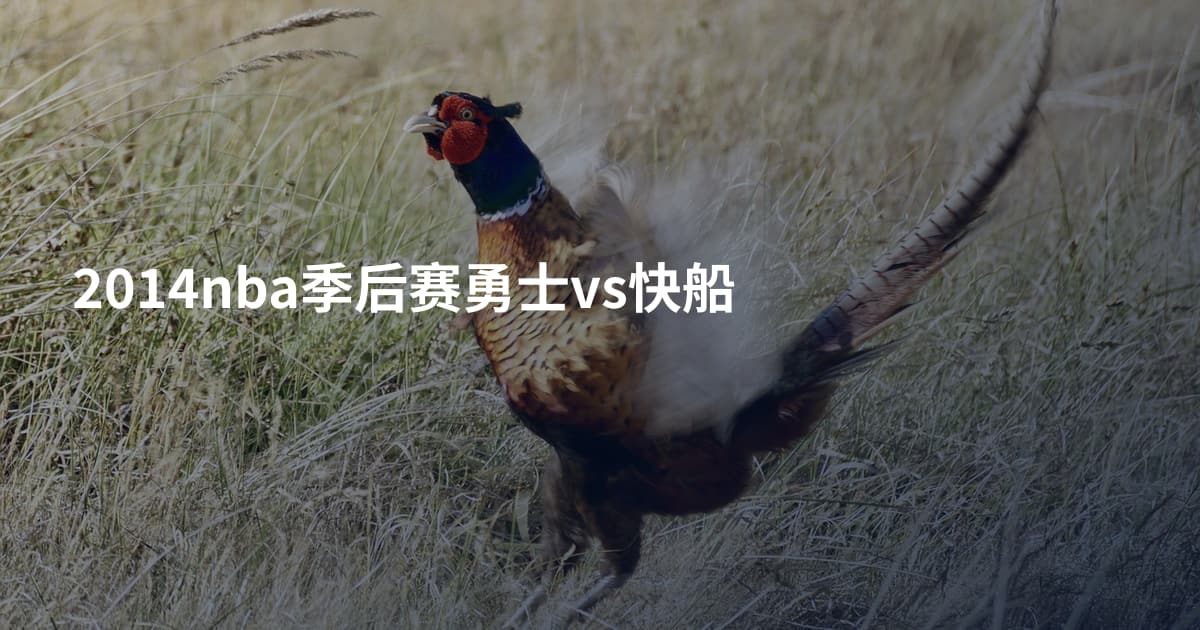 2014nba季后赛勇士vs快船