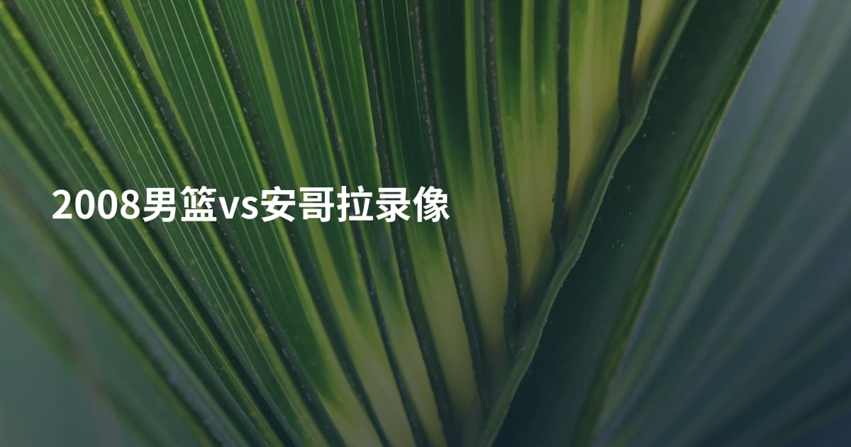 2008男篮vs安哥拉录像