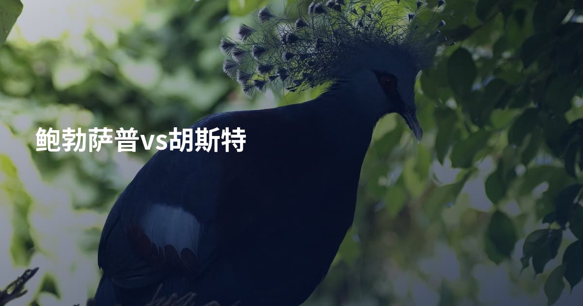 鲍勃萨普vs胡斯特
