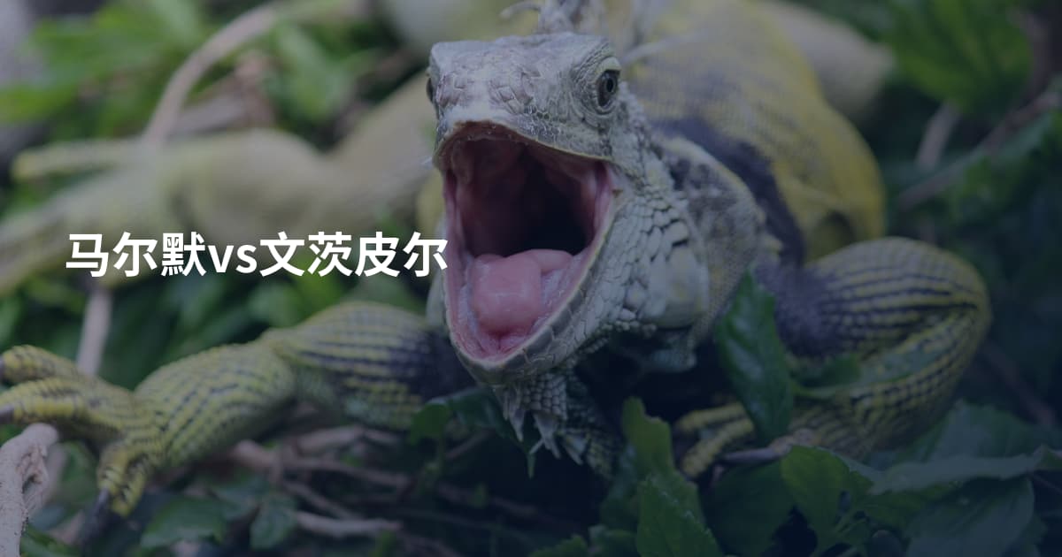 马尔默vs文茨皮尔