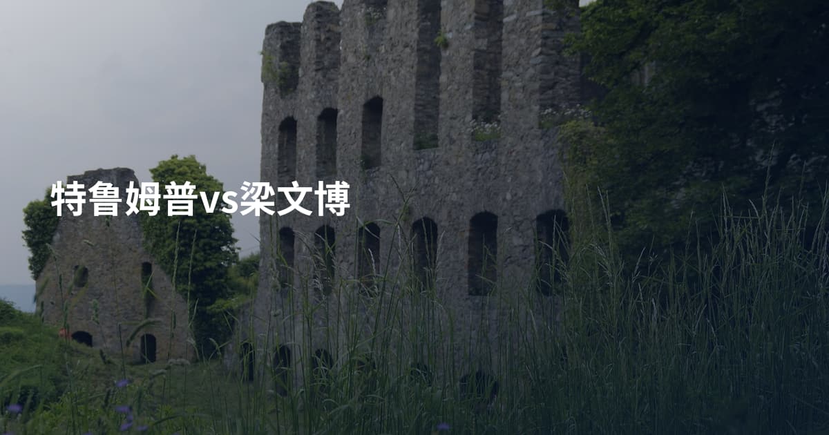 特鲁姆普vs梁文博