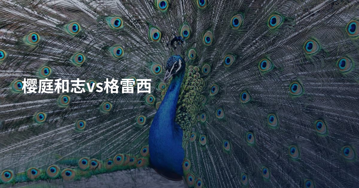 樱庭和志vs格雷西