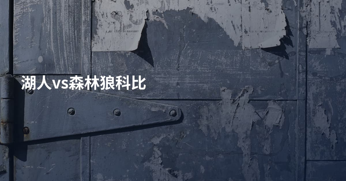 湖人vs森林狼科比