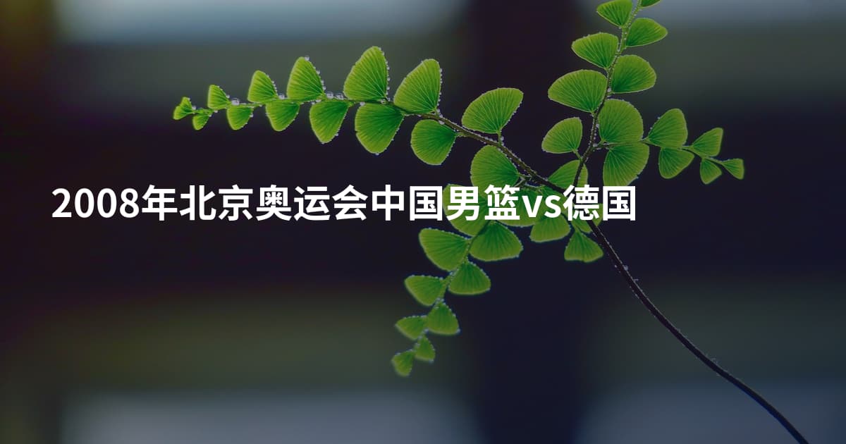 2008年北京奥运会中国男篮vs德国