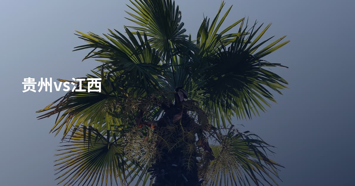贵州vs江西
