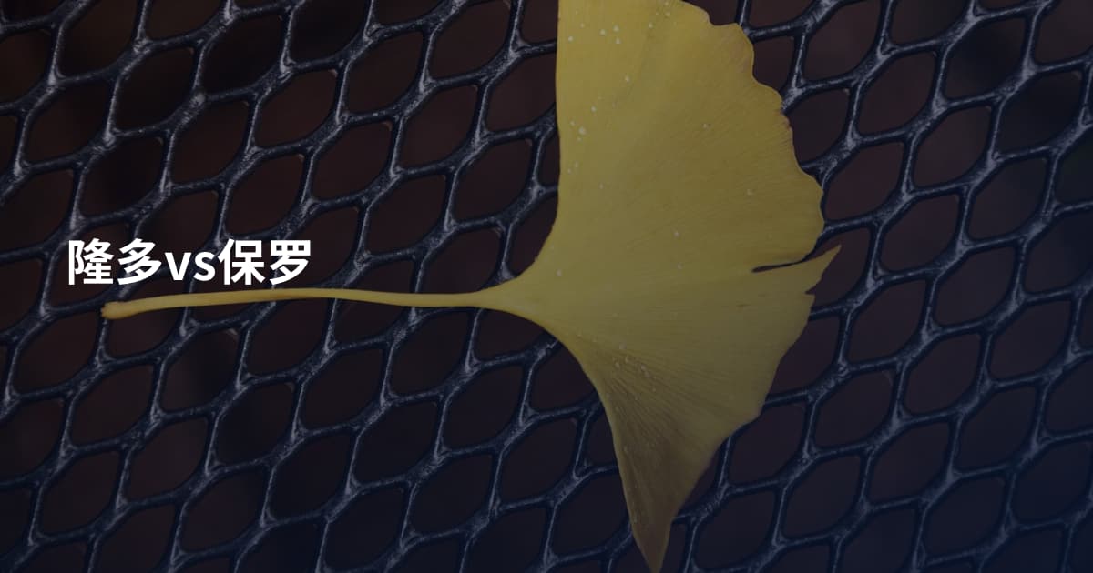 隆多vs保罗