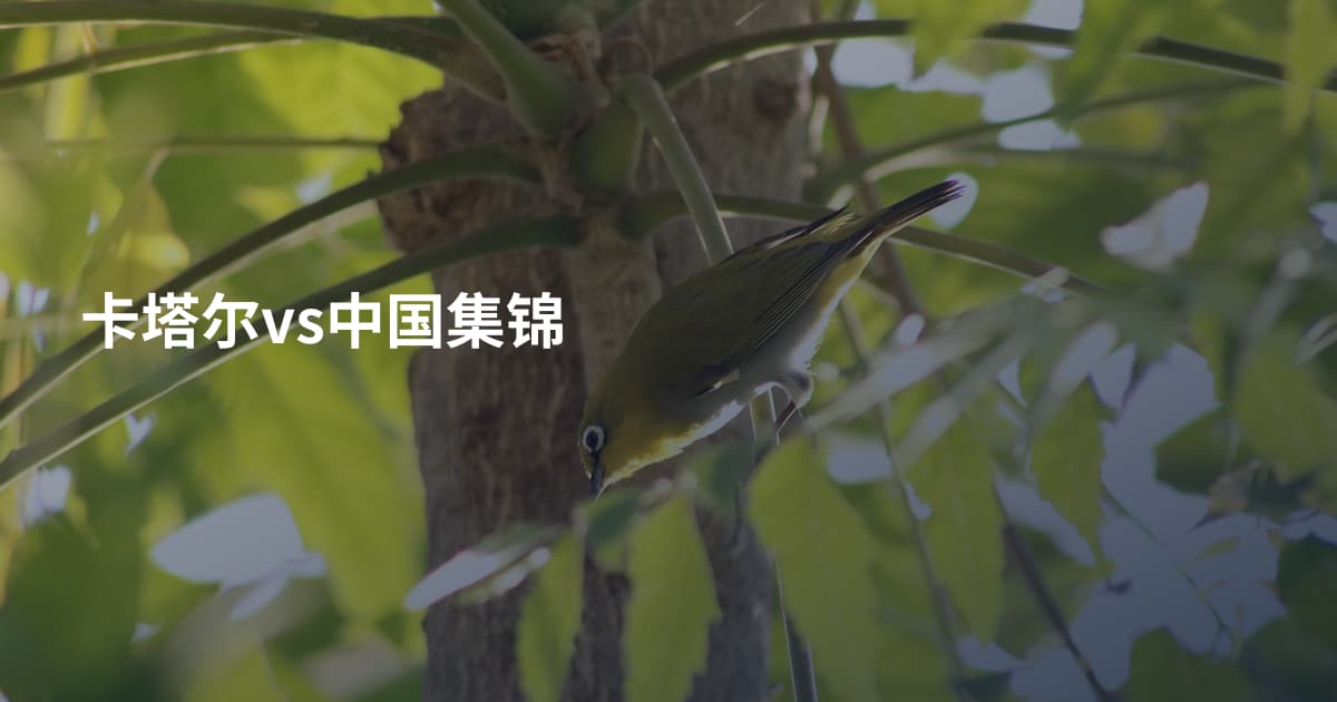 卡塔尔vs中国集锦
