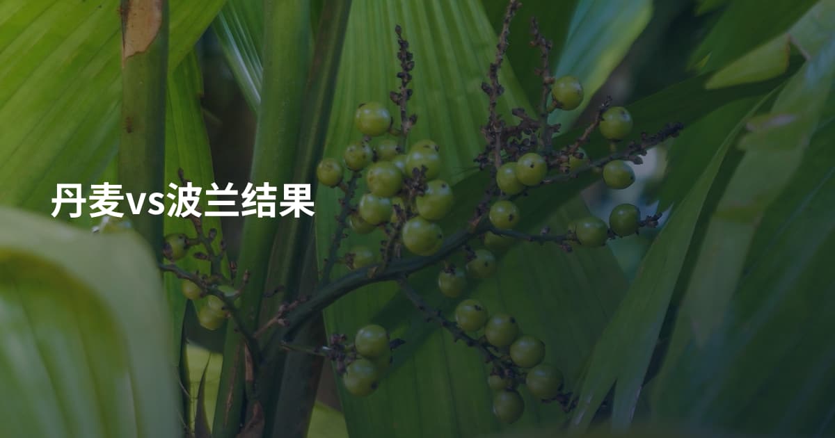 丹麦vs波兰结果