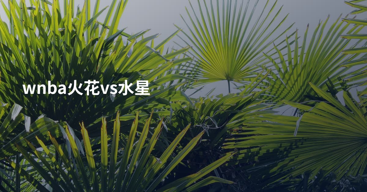 wnba火花vs水星