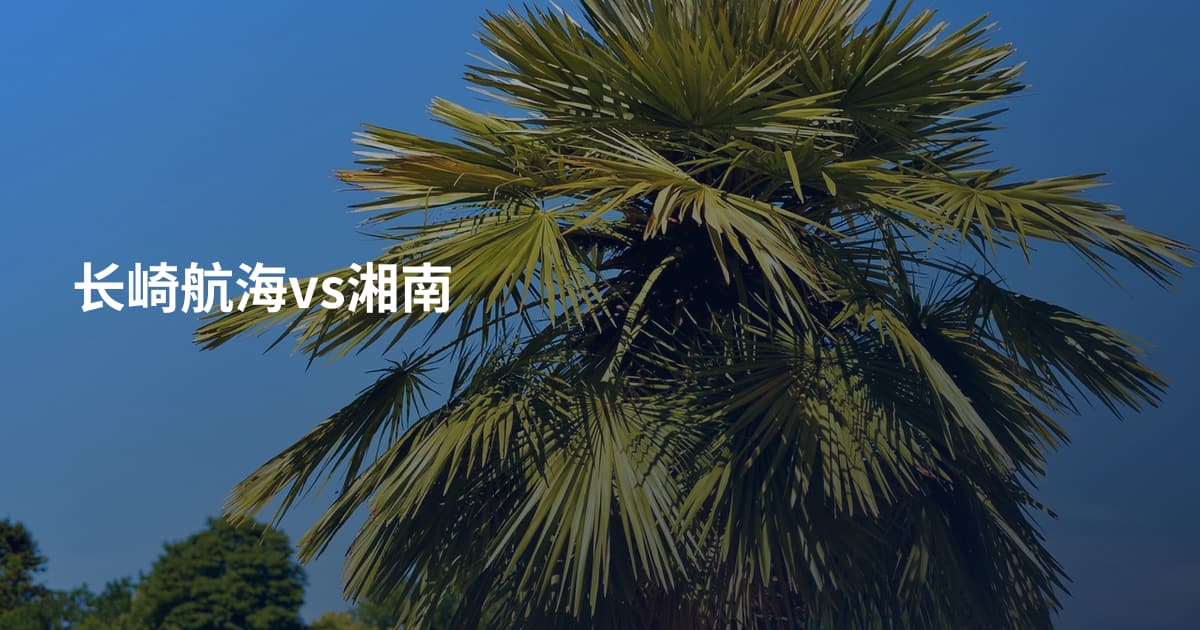 长崎航海vs湘南