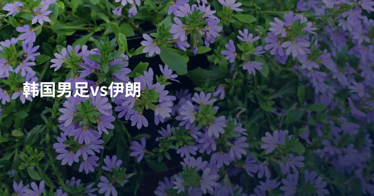 韩国男足vs伊朗